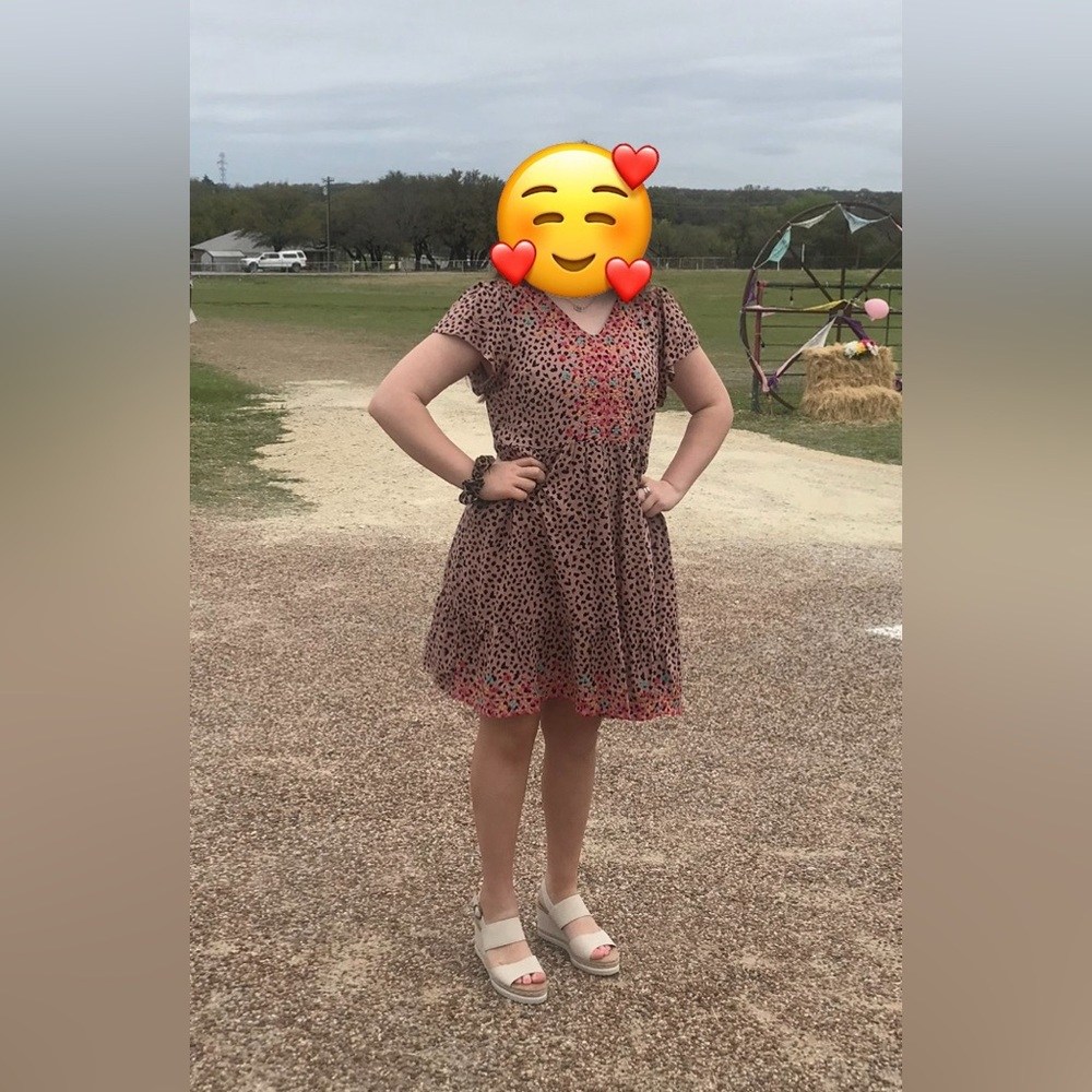 Leopard Print Dress with Colorful Embroidery